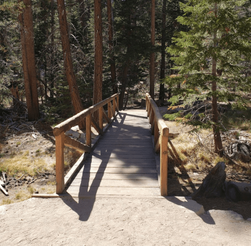 A wooden bridge spans a path through a forest, surrounded by tall trees and grassy areas.