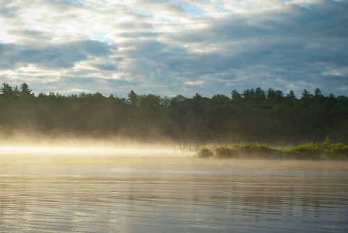 A serene lake shrouded in morning mist, surrounded by lush greenery and a cloudy sky.