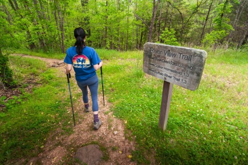 A person hiking on a trail surrounded by greenery, approaching a sign for River View Trail and other paths.