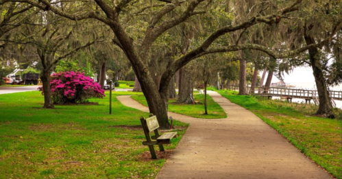A peaceful park path lined with trees, a bench, and vibrant pink flowers, leading towards a waterfront.