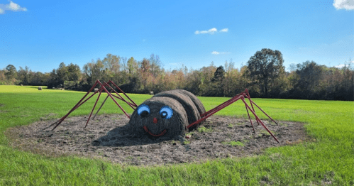 A large, whimsical spider made of hay bales with painted eyes and metal legs, set in a green field under a blue sky.