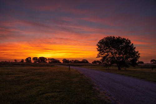 A serene sunset over a gravel road, with silhouettes of trees against a vibrant orange and purple sky.