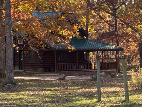 A rustic cabin for rent surrounded by autumn foliage and trees. A sign in front reads "Cabin for Rent."