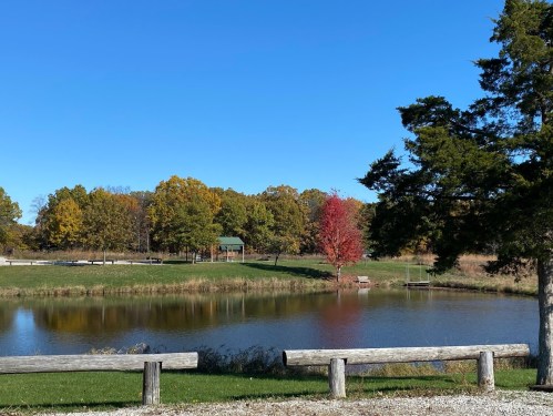 A serene pond surrounded by trees, with one vibrant red tree, under a clear blue sky.