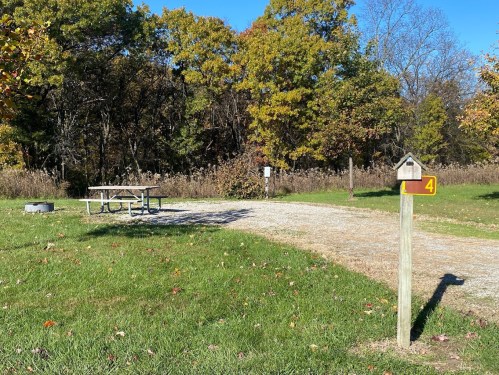 A picnic area with a table and a sign marked "4" amidst trees and grass on a sunny day.