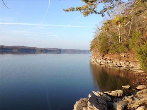 Serene lake view with calm water, rocky shore, and trees lining the banks under a clear blue sky.