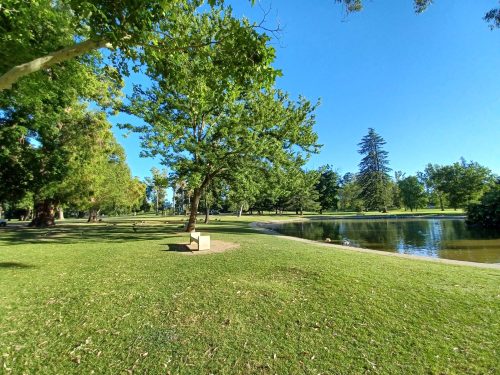 A serene park scene featuring lush green trees, a pond, and a clear blue sky. A bench sits on the grassy shore.