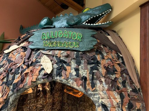 A colorful alligator incubator structure with a crocodile figure on top, decorated with leaves and natural materials.