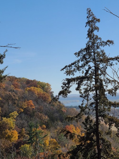 A scenic view of a colorful autumn landscape with trees and a clear blue sky.