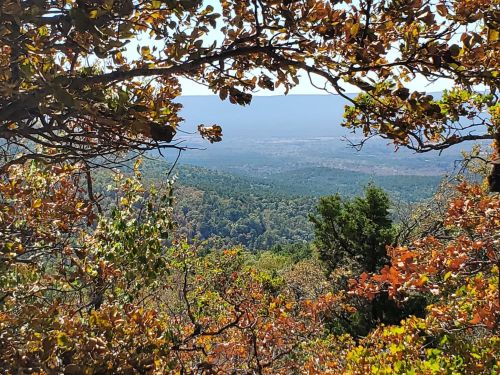 A scenic view of rolling hills and valleys framed by autumn foliage in vibrant orange and green hues.