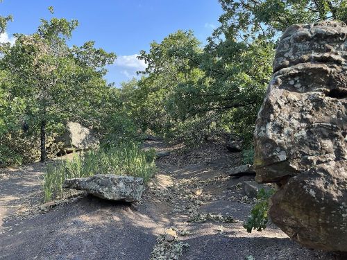 A rocky path surrounded by trees and greenery under a clear blue sky.
