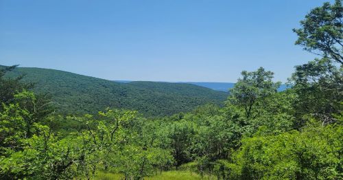 Lush green hills under a clear blue sky, with distant mountains visible on the horizon.