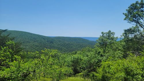 Lush green hills under a clear blue sky, with distant mountains visible on the horizon.