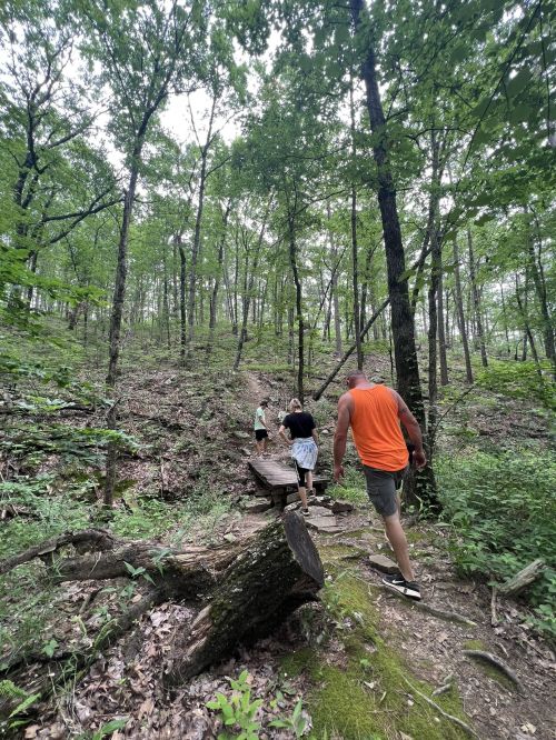 Three people hike up a wooded trail, surrounded by lush green trees and foliage.