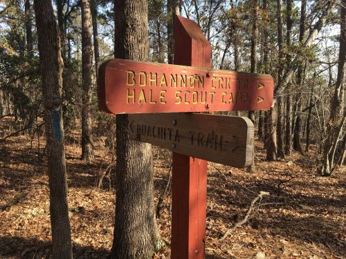 Wooden signpost in a forest, pointing to Bohannon Critter and Hale Scout Camp, and Ouachita Trail.