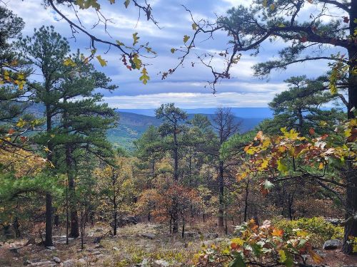 A scenic view of a forest with autumn foliage, showcasing trees and distant mountains under a cloudy sky.