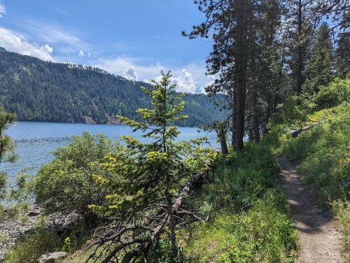 A scenic lakeside trail surrounded by trees and mountains under a clear blue sky.