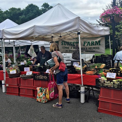 A woman shops at a farmers market stall with fresh produce and flowers under a white tent.