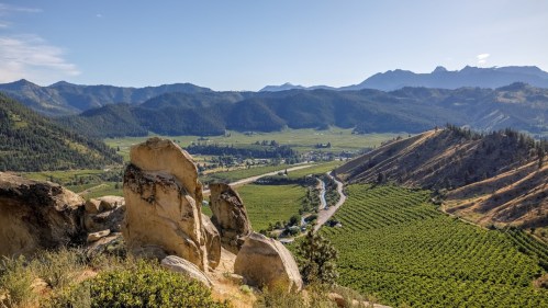 A scenic view of rolling hills, vineyards, and mountains under a clear blue sky.