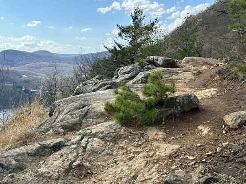 Rocky terrain with a small pine tree, overlooking a valley and distant mountains under a partly cloudy sky.