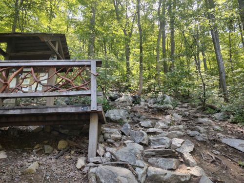 A wooden shelter with a railing overlooks a rocky trail leading into a lush green forest.