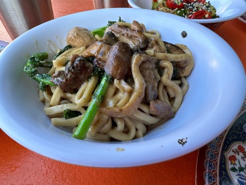A bowl of thick noodles topped with chicken, mushrooms, and green vegetables on an orange table.
