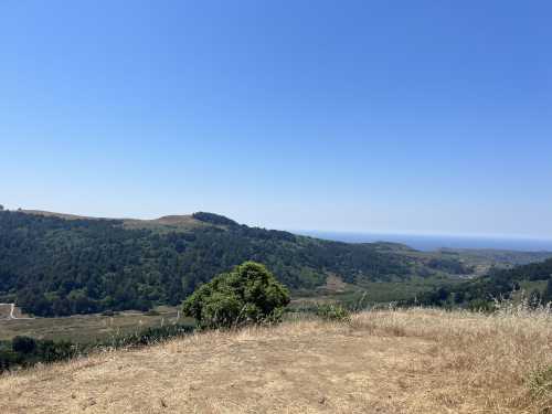 A scenic view of rolling hills and a distant ocean under a clear blue sky, with dry grass in the foreground.