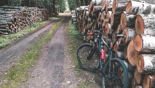 A mountain bike rests beside a dirt path lined with stacked logs in a forested area.