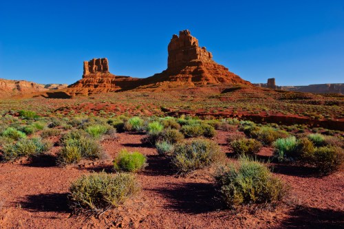 A desert landscape featuring red rock formations and green shrubs under a clear blue sky.