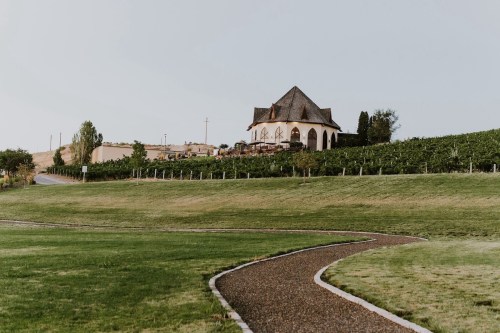 A scenic view of a vineyard with a charming house on a hill, surrounded by lush green grass and a winding path.
