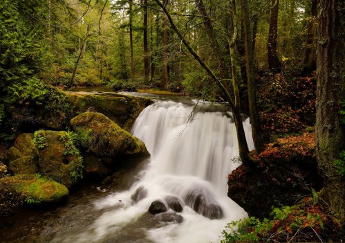 A serene waterfall cascades over rocks, surrounded by lush green trees and autumn foliage in a tranquil forest setting.