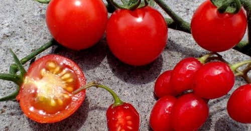 Fresh red tomatoes, including whole and halved varieties, displayed on a textured surface.