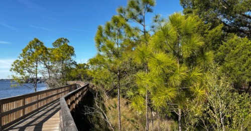 A waterfront boardwalk trail in Florida.