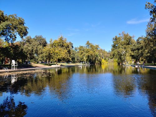 A serene park scene featuring a calm pond surrounded by trees under a clear blue sky.