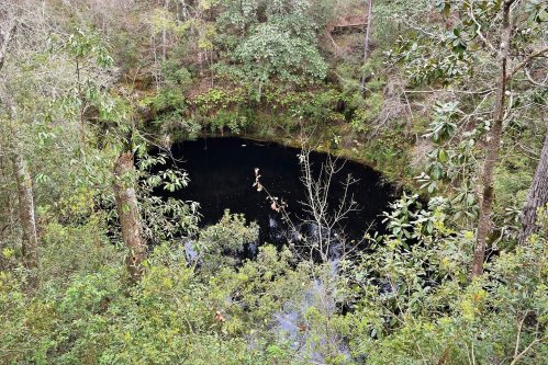 A dark pond surrounded by lush greenery and trees, creating a serene natural landscape.