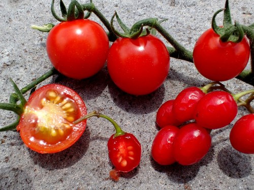Fresh red tomatoes on a textured surface, including whole tomatoes and a sliced one revealing its seeds.