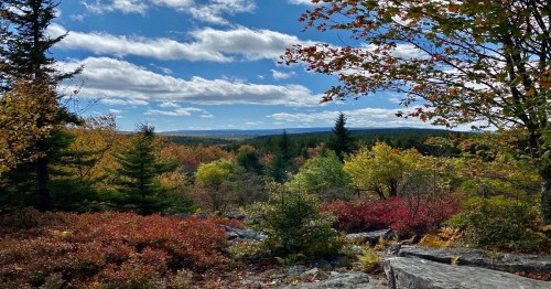 A scenic view of a colorful forest with autumn foliage, rocky terrain, and a bright blue sky with fluffy clouds.