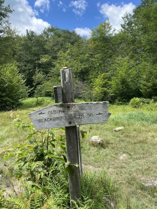 Wooden signpost in a grassy area, pointing to "Old FR 80" and "Blackbird Knob TR 51" with trees in the background.