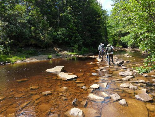 Two hikers navigate a rocky stream surrounded by lush green trees on a sunny day.