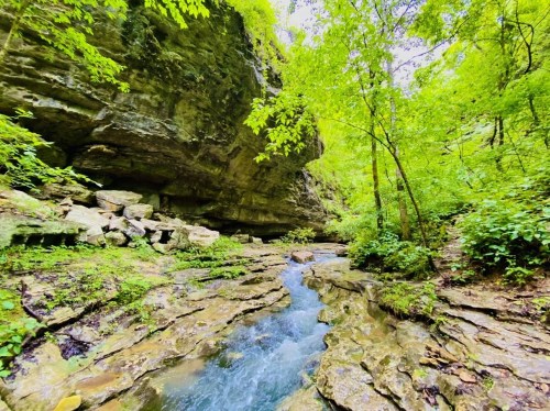 A serene forest scene with a flowing stream, rocky terrain, and lush green foliage under a rocky overhang.
