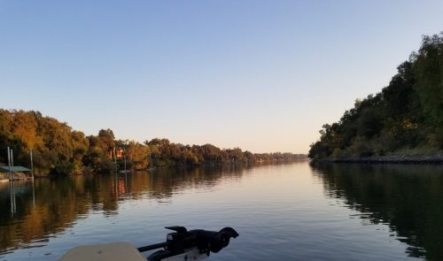 A serene river scene at sunset, with calm waters reflecting trees and a clear sky.