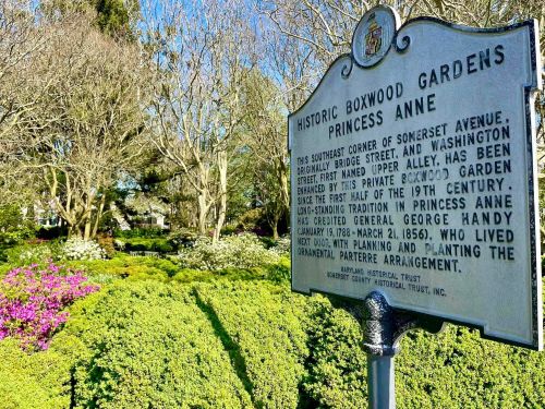Sign for Historic Boxwood Gardens in Princess Anne, detailing its history and connection to George Handy. Lush greenery surrounds it.