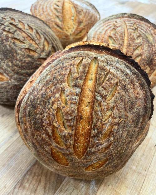 Four round loaves of artisan bread with intricate scoring patterns on a wooden surface.
