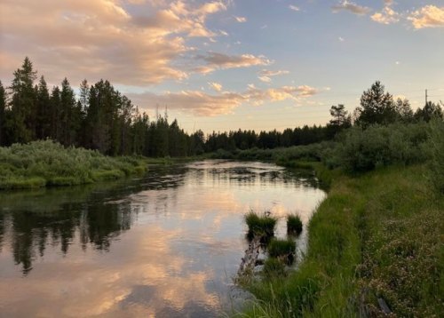 A serene river reflects the sky at sunset, surrounded by lush greenery and tall trees.
