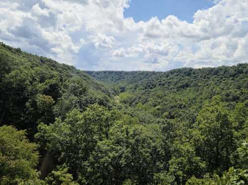 Lush green hills and valleys under a bright blue sky with fluffy white clouds.