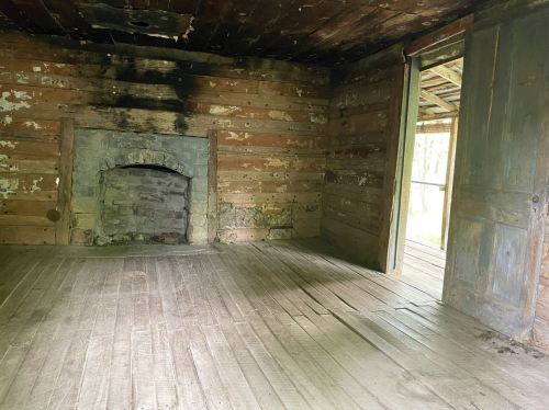 An empty, rustic room with wooden walls, a stone fireplace, and an open door leading outside.