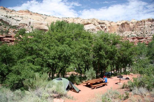 A campsite with a tent and picnic table surrounded by trees and rocky cliffs under a blue sky.