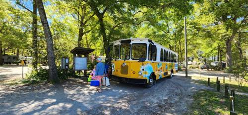 A person carrying bags approaches a colorful trolley bus parked among trees in a sunny park setting.
