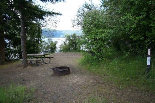 A serene campsite with a picnic table, fire pit, and lush greenery overlooking a calm lake.