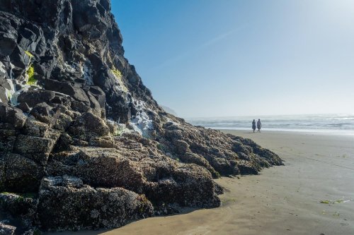 Two people walk along a sandy beach near a rocky cliff under a clear blue sky.